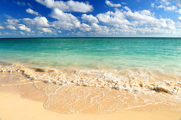 Image showing Tropical beach