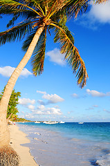 Image showing Tropical beach