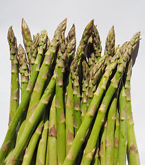 Image showing Green Asparagus vegetables