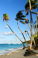 Image showing Tropical beach