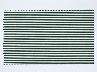 Image showing Green Striped fabric sample