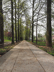 Image showing Footpath among the trees