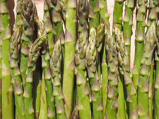 Image showing Green Asparagus vegetables