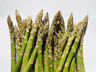 Image showing Green Asparagus vegetables