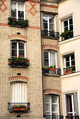 Image showing Paris windows