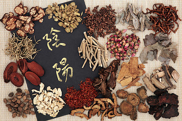 Image showing Yin and Yang Chinese Herbs