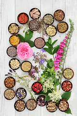 Image showing Medicinal Herbs and Flowers