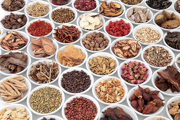 Image showing Large Chinese Herbal Medicine Collection