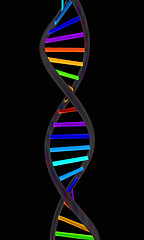 Image showing DNA structure model