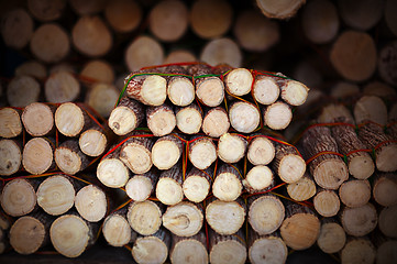 Image showing Pieces of wood with bark on market - material for thanaka produc