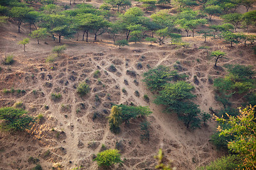 Image showing Recreational Area near Pushkar, India with Crisscrossing Offroad