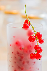 Image showing Fresh red currants in glass