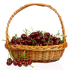 Image showing Sweet cherries isolated
