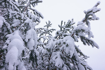 Image showing Winter landscape