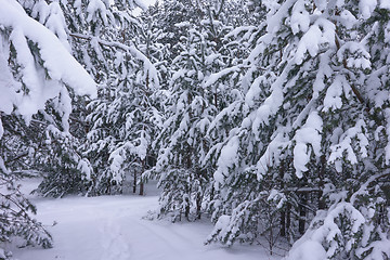 Image showing Winter landscape