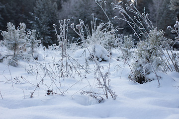 Image showing Winter christmas background