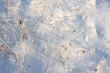 Image showing Winter christmas background