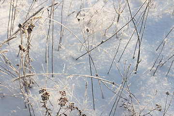 Image showing Winter christmas background