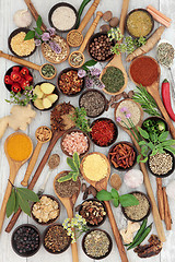 Image showing Herb and Spice Sampler