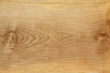 Image showing Sycamore Wood Grain