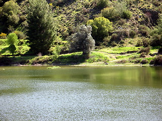 Image showing Lake green. Cyprus