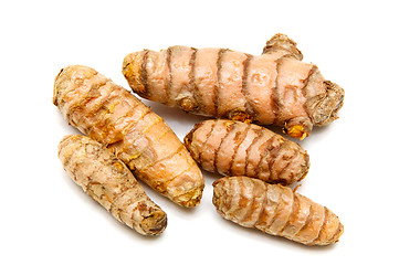 Image showing fresh Turmeric rhizomes