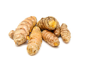 Image showing Turmeric rhizomes