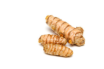 Image showing Turmeric rhizomes over white