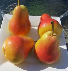 Image showing Flamingo pears