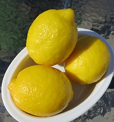 Image showing Lemon