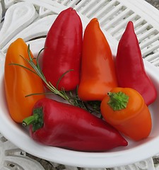 Image showing Paprika