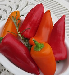 Image showing Paprika