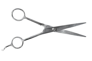 Image showing Barber scissors