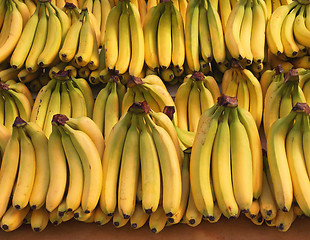 Image showing Bananas