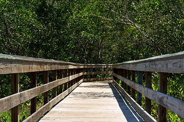 Image showing low view of wooden boardwalk in florida