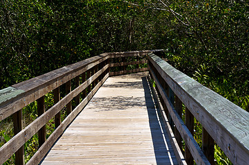 Image showing Railed wooden boardwalk in florida