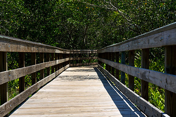 Image showing wooden boardwalk in florida