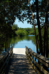 Image showing view of river pier through trees