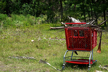 Image showing supermarket shopping cart in the wilderness