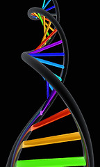 Image showing DNA structure model