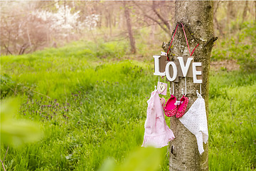 Image showing pink baby shoes and dress hanging on the tree