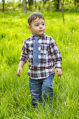 Image showing Little boy in the blue shirt jeans