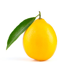 Image showing Yellow lemon with leaf isolated 