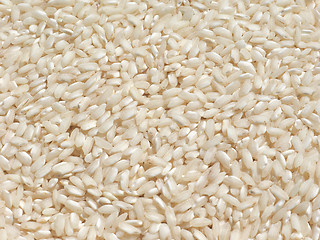 Image showing Carnaroli rice food