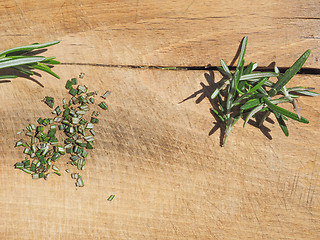 Image showing Rosemary plant on cutting board