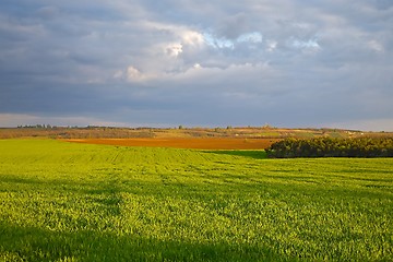 Image showing Agircutural landscape with clouds