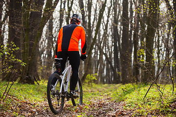 Image showing Mountain Bike cyclist riding single track