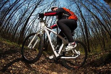 Image showing Cyclist Riding the Bike