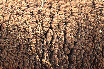 Image showing wild sheep wool texture