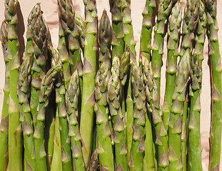 Image showing Green Asparagus vegetables